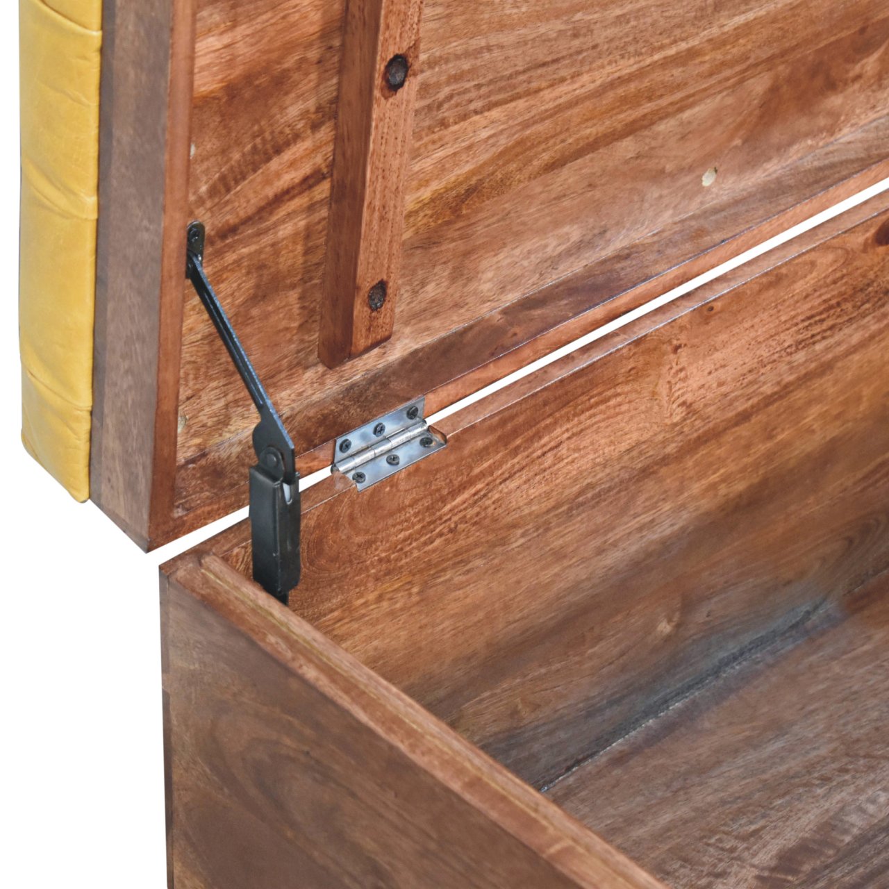 Buffalo Hide Honey Caramel Storage Trunk - Image 6