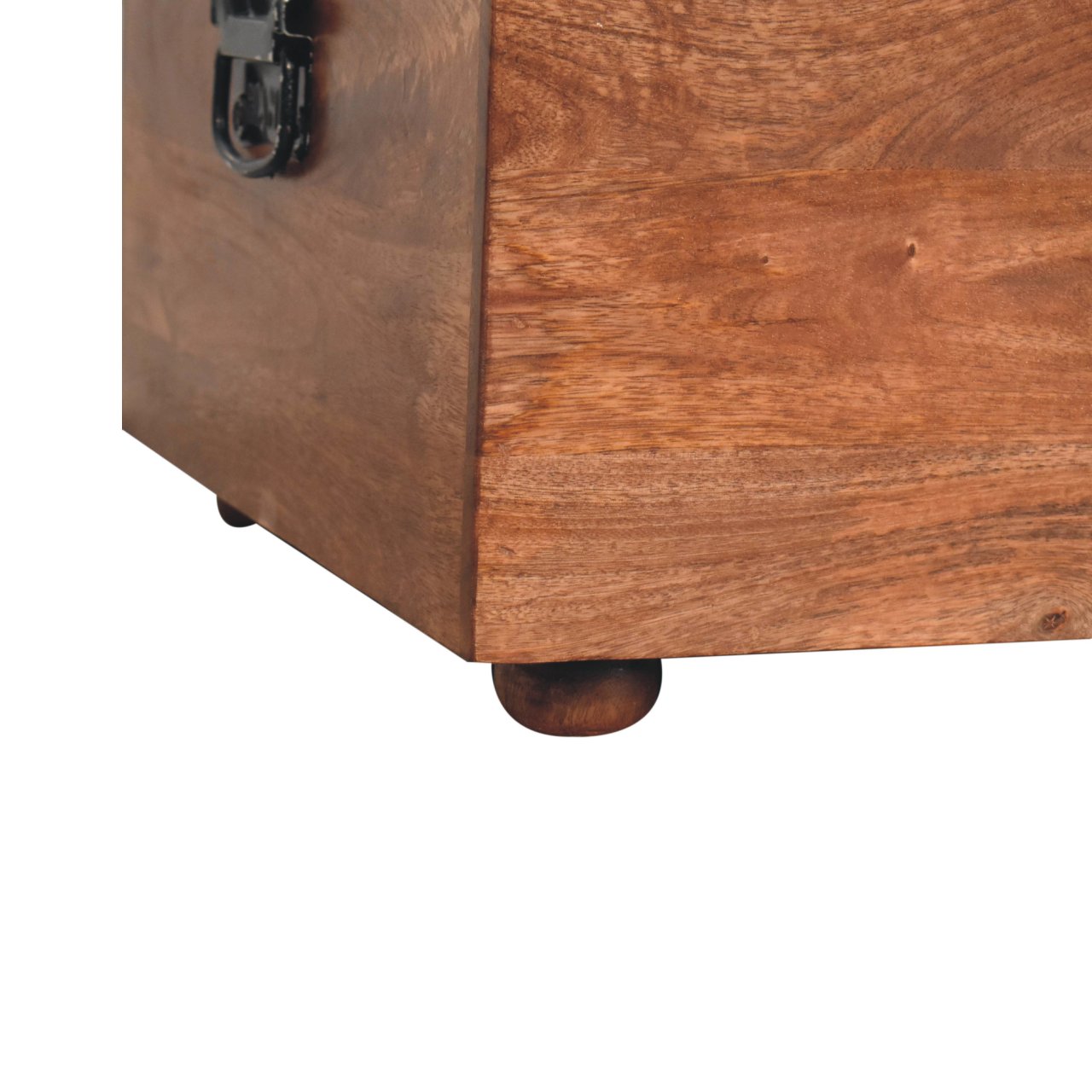 Buffalo Hide Honey Caramel Storage Trunk - Image 8