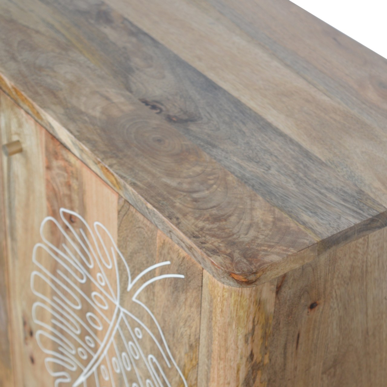 Lead Embossed Resin Cabinet - Image 5